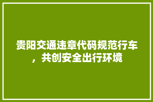 贵阳交通违章代码规范行车，共创安全出行环境