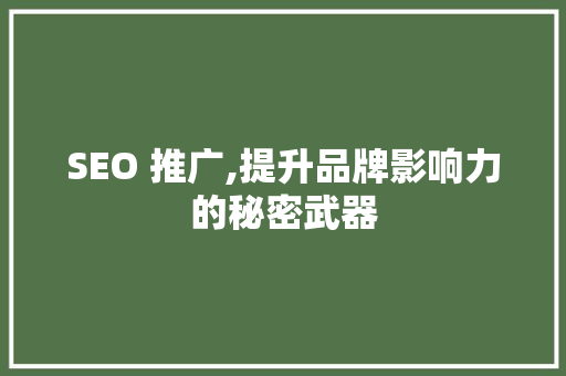SEO 推广,提升品牌影响力的秘密武器