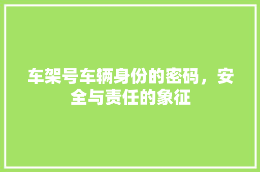 车架号车辆身份的密码，安全与责任的象征