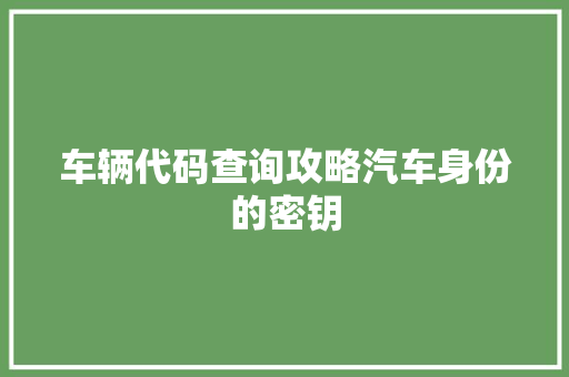 车辆代码查询攻略汽车身份的密钥