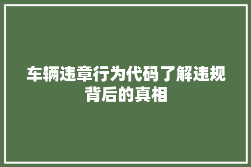 车辆违章行为代码了解违规背后的真相