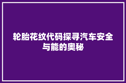 轮胎花纹代码探寻汽车安全与能的奥秘 友链在线