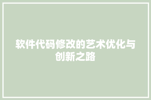 软件代码修改的艺术优化与创新之路 WordPress教程