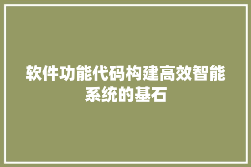 软件功能代码构建高效智能系统的基石