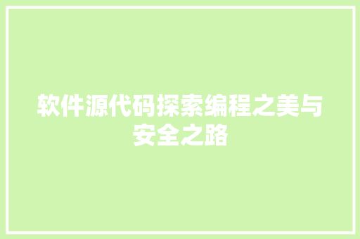 软件源代码探索编程之美与安全之路