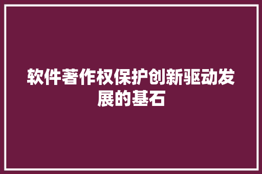 软件著作权保护创新驱动发展的基石