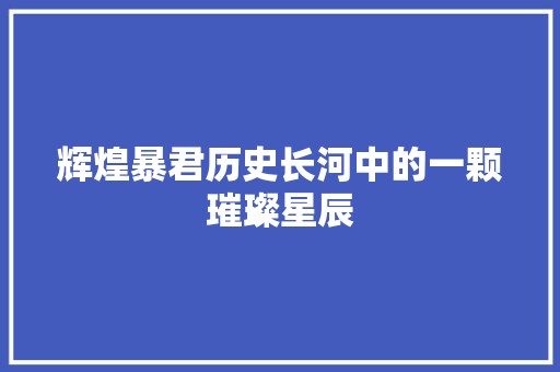辉煌暴君历史长河中的一颗璀璨星辰
