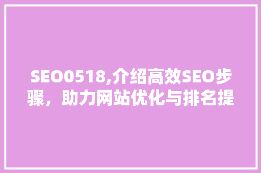 SEO0518,介绍高效SEO步骤，助力网站优化与排名提升