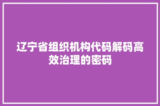 辽宁省组织机构代码解码高效治理的密码