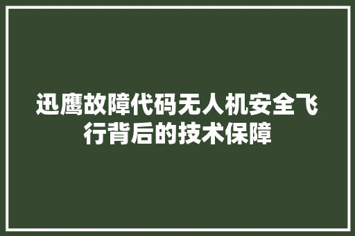 迅鹰故障代码无人机安全飞行背后的技术保障 建站教程