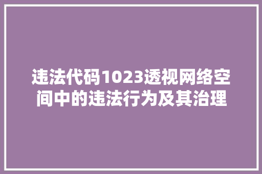 违法代码1023透视网络空间中的违法行为及其治理 建站教程