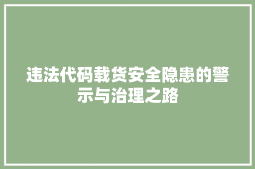 违法代码载货安全隐患的警示与治理之路