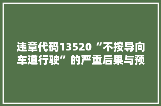 违章代码13520“不按导向车道行驶”的严重后果与预防措施