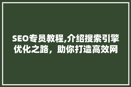 SEO专员教程,介绍搜索引擎优化之路，助你打造高效网站