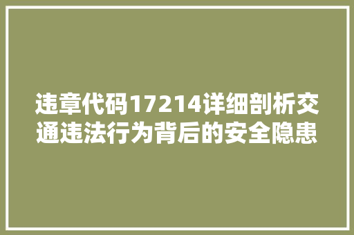 违章代码17214详细剖析交通违法行为背后的安全隐患