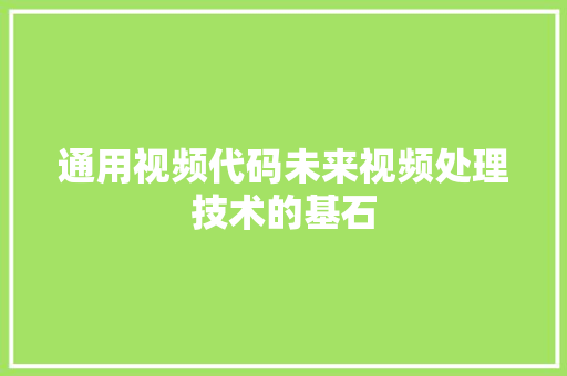 通用视频代码未来视频处理技术的基石