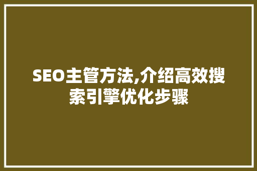 SEO主管方法,介绍高效搜索引擎优化步骤