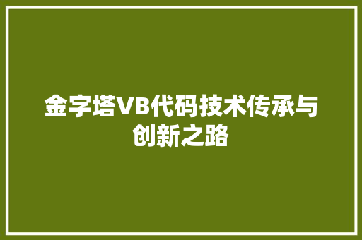 金字塔VB代码技术传承与创新之路