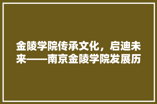 金陵学院传承文化，启迪未来——南京金陵学院发展历程与成就探析