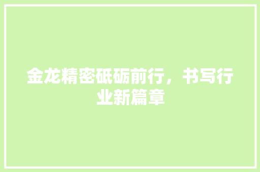 金龙精密砥砺前行，书写行业新篇章