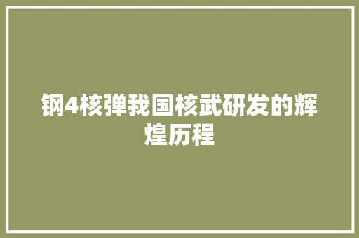 钢4核弹我国核武研发的辉煌历程
