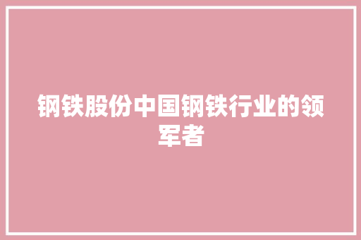 钢铁股份中国钢铁行业的领军者