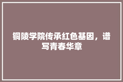 铜陵学院传承红色基因，谱写青春华章