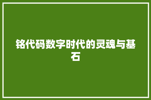 铭代码数字时代的灵魂与基石