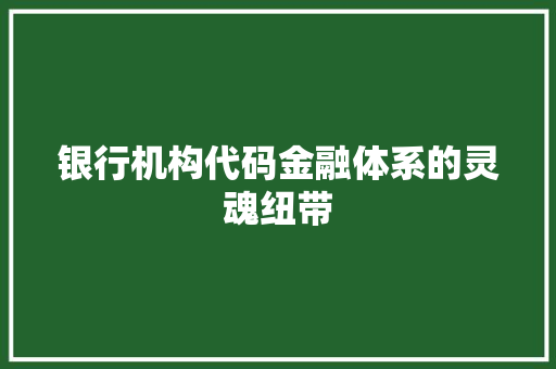 银行机构代码金融体系的灵魂纽带