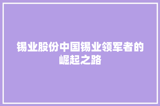 锡业股份中国锡业领军者的崛起之路