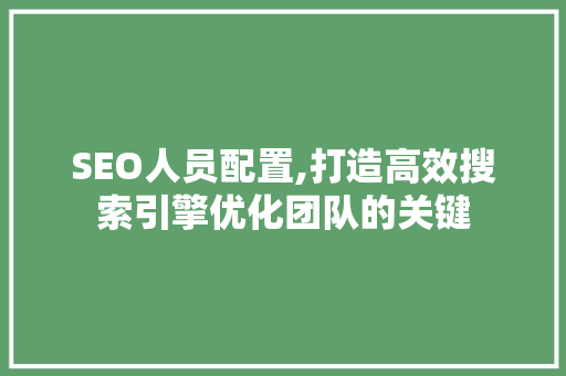 SEO人员配置,打造高效搜索引擎优化团队的关键
