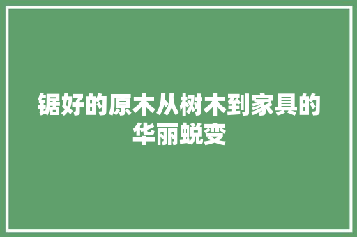 锯好的原木从树木到家具的华丽蜕变