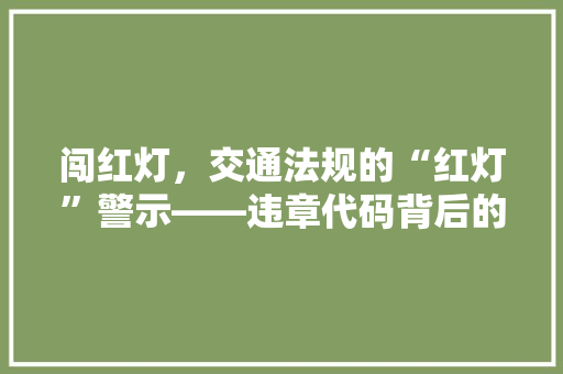 闯红灯，交通法规的“红灯”警示——违章代码背后的思考