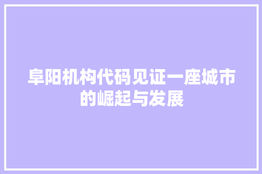 阜阳机构代码见证一座城市的崛起与发展