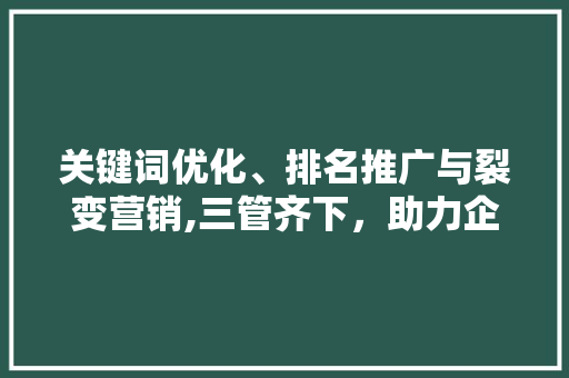 关键词优化、排名推广与裂变营销,三管齐下，助力企业品牌腾飞