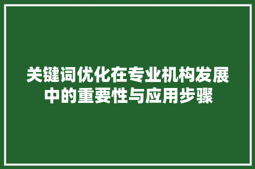 关键词优化在专业机构发展中的重要性与应用步骤