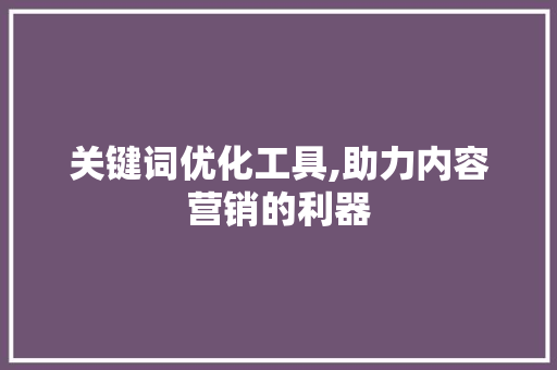 关键词优化工具,助力内容营销的利器