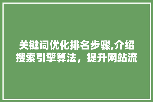 关键词优化排名步骤,介绍搜索引擎算法，提升网站流量与转化率 WordPress教程