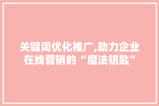 关键词优化推广,助力企业在线营销的“魔法钥匙”