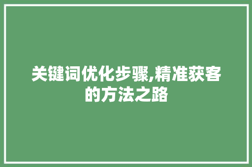 关键词优化步骤,精准获客的方法之路