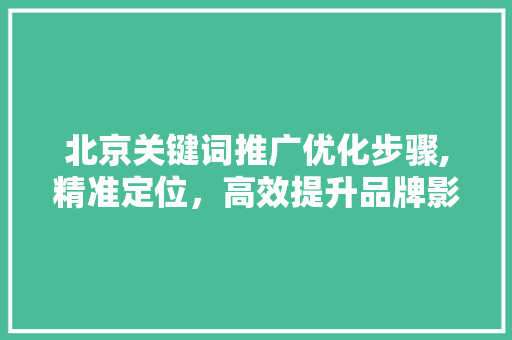 北京关键词推广优化步骤,精准定位，高效提升品牌影响力 友链在线