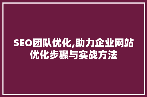 SEO团队优化,助力企业网站优化步骤与实战方法