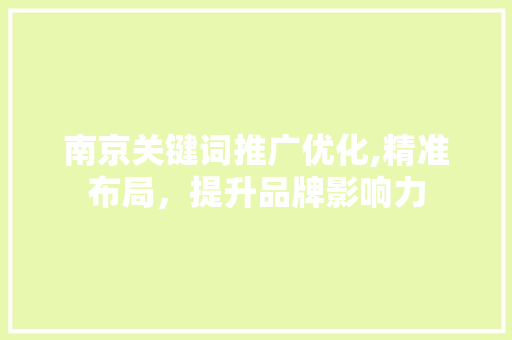 南京关键词推广优化,精准布局，提升品牌影响力