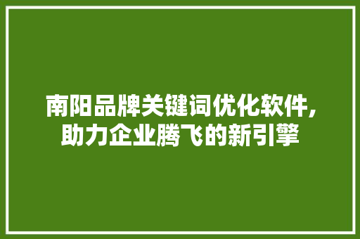 南阳品牌关键词优化软件,助力企业腾飞的新引擎