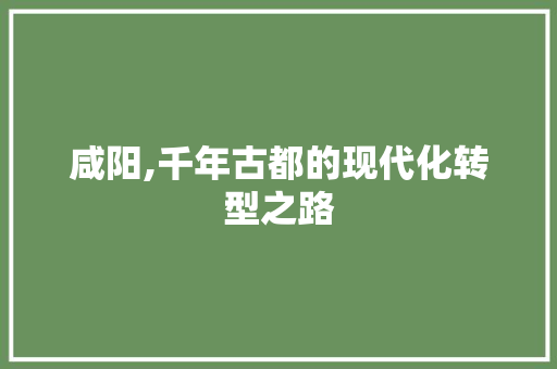 咸阳,千年古都的现代化转型之路