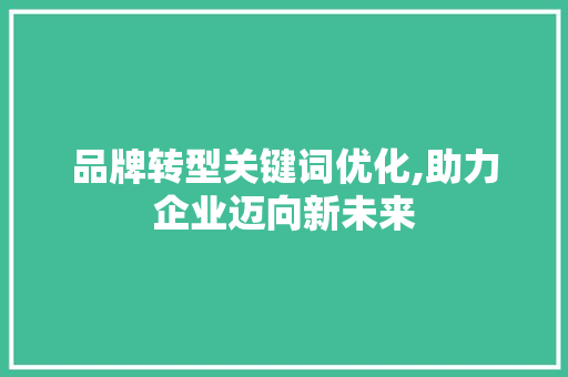 品牌转型关键词优化,助力企业迈向新未来