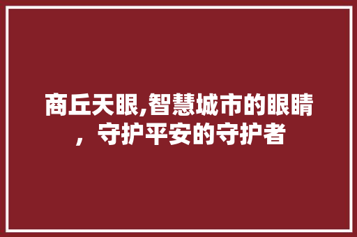 商丘天眼,智慧城市的眼睛，守护平安的守护者