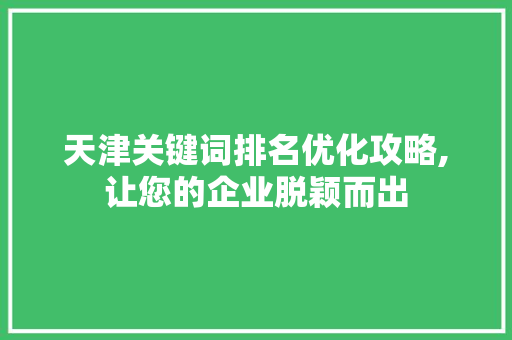 天津关键词排名优化攻略,让您的企业脱颖而出