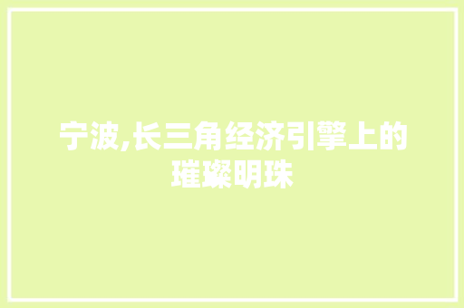 宁波,长三角经济引擎上的璀璨明珠