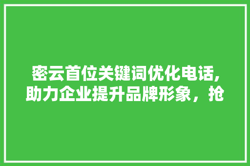密云首位关键词优化电话,助力企业提升品牌形象，抢占市场先机